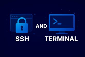 SSH vs Terminal: Differences, Functions, and Security Roles
