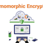 Homomorphic Encryption for Machine Learning
