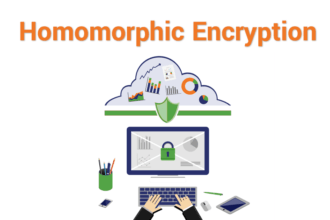 Homomorphic Encryption for Machine Learning