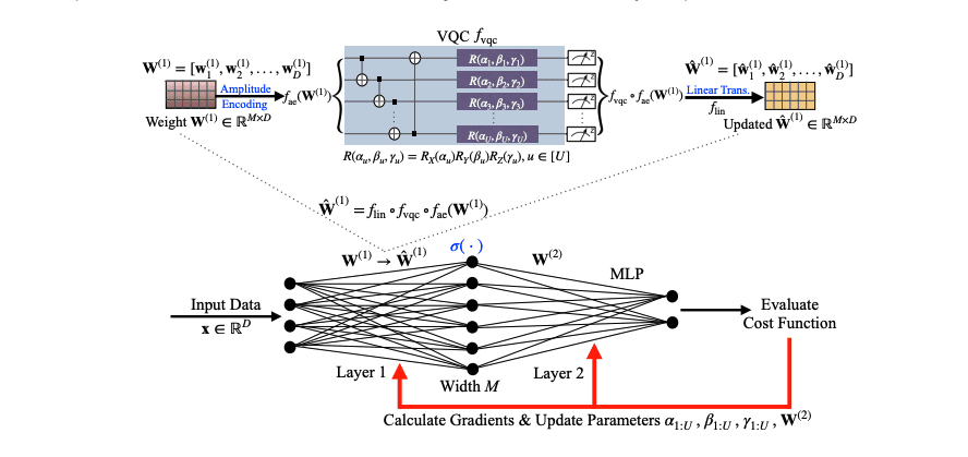 Quantum neural network diagram showing amplitude encoding, variational quantum circuit, parameter updates, and integration with a multilayer perceptron.
